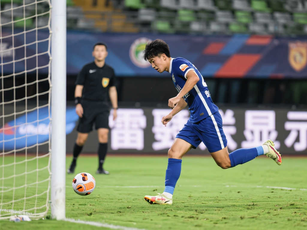 体系将佛罗 体系将佛罗